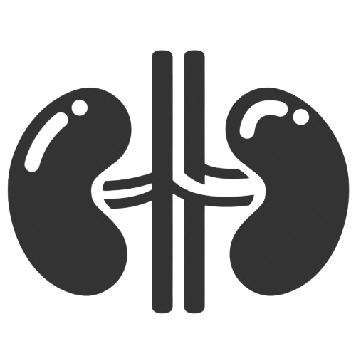 urology-and-kidney-icon